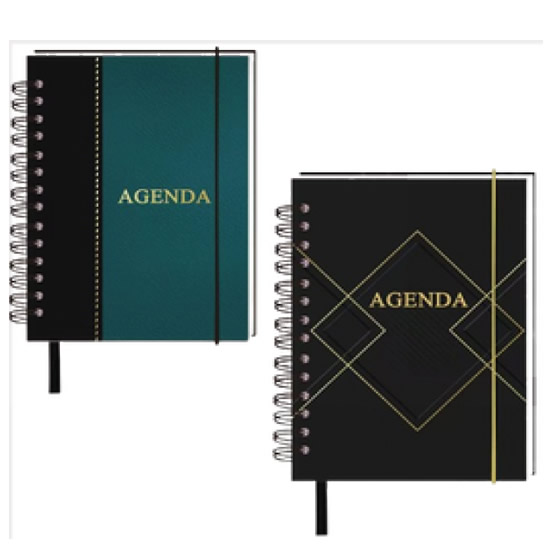 AGENDA ESPIRAL 137X189MM AGENDA ESPIRAL