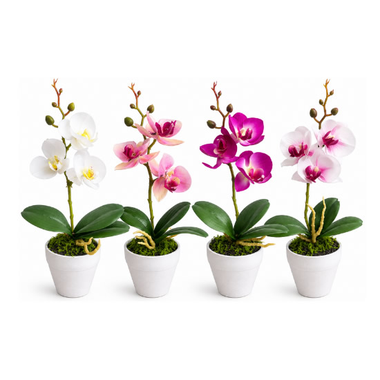VASO C/ PLANTA CACHEPOT